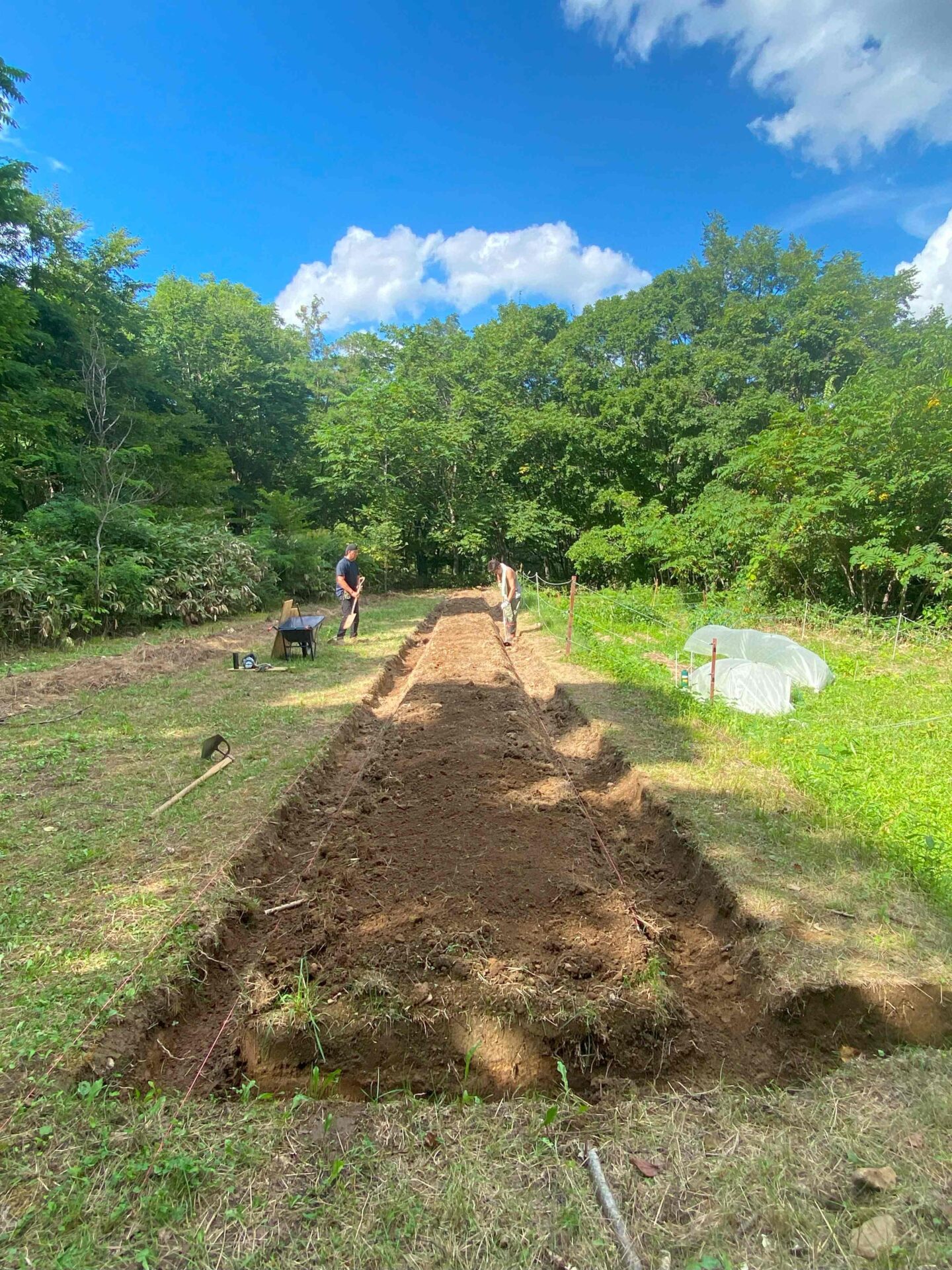 ウッドチップバーク堆肥 土壌改良 四日市 菰野町配送込 菌ちゃん畝自然農法 ウッドチップバーク堆肥 土壌改良 四日市 菰野町配送込 菌ちゃん畝自然農法